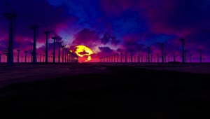 Free Video Stock sunset on a d lake covered in windmills Live Wallpaper