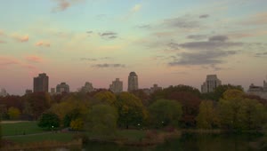 Free Video Stock sunset over central park Live Wallpaper