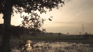 Free Video Stock sunset over marshlands Live Wallpaper