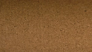 Free Video Stock surface and texture of a cork Live Wallpaper