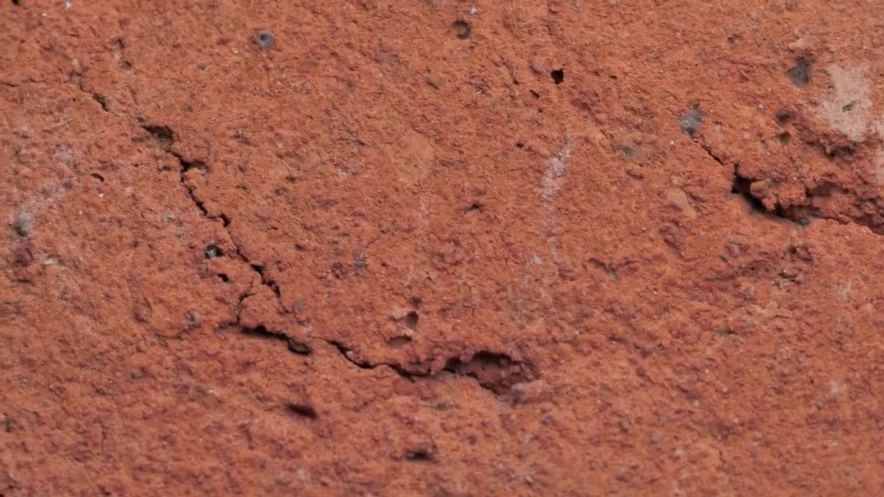 Download Free Video Stock surface texture of a red rock Live Wallpaper
