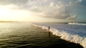 Free Video Stock surfer riding sunlit wave in slow motion Live Wallpaper