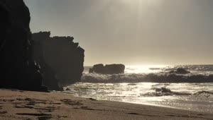 Free Video Stock surfer walking toward the ocean at sunset Live Wallpaper