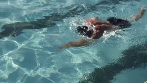 Free Video Stock swimming down a pool lane Live Wallpaper