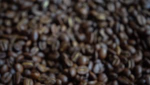 Free Video Stock taking a handful of coffee beans Live Wallpaper