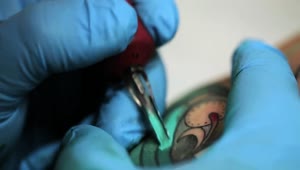 Free Video Stock tattooist tattooing a blue butterfly Live Wallpaper
