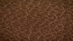 Free Video Stock texture of a leather surface close view Live Wallpaper
