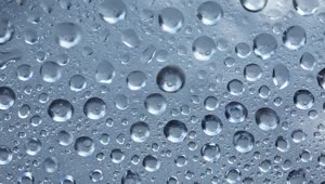 Free Video Stock texture of water drops vibrating on a glass Live Wallpaper