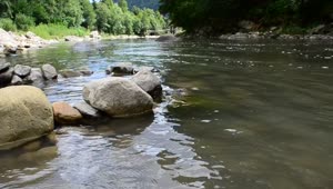 Free Video Stock the edge of a calm river Live Wallpaper