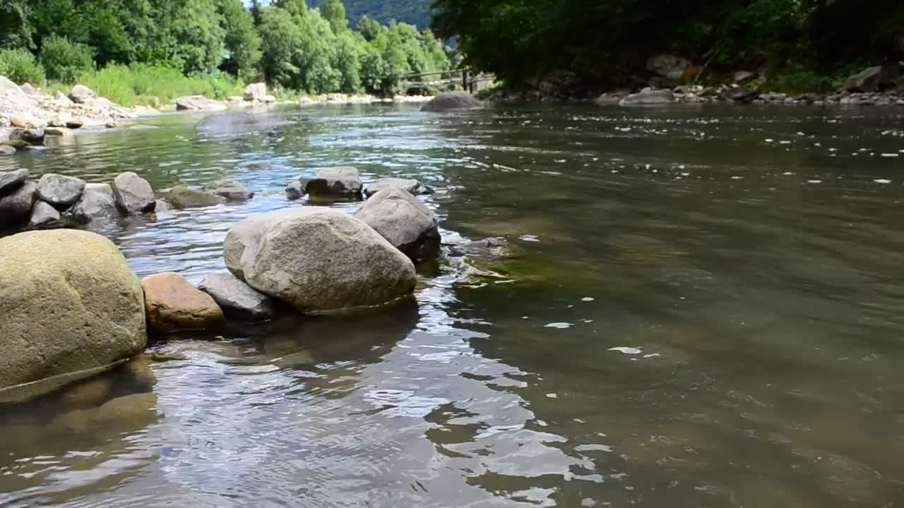 Download Free Video Stock the edge of a calm river Live Wallpaper