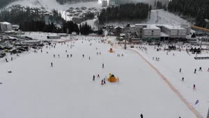 Free Video Stock the landscape of skiers on the mountain forest Live Wallpaper