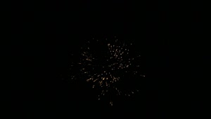 Free Video Stock the night sky illuminated with fireworks Live Wallpaper