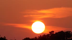 Free Video Stock the sun goes down behind a tree line Live Wallpaper
