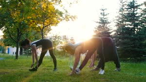 Free Video Stock three women exercising on the grass in a park Live Wallpaper