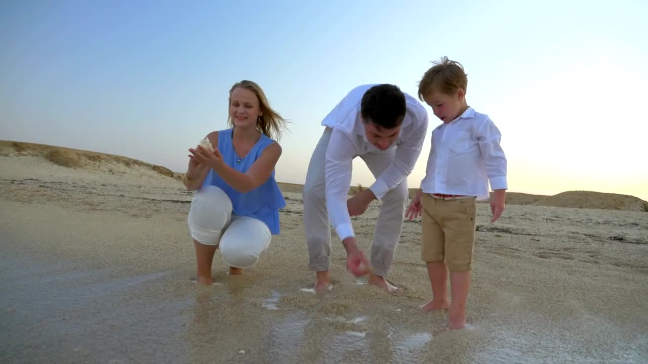 Download Free Video Stock throwing shells at the beach Live Wallpaper