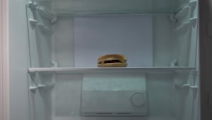 Free Video Stock timelapse of man putting groceries in fridge Live Wallpaper