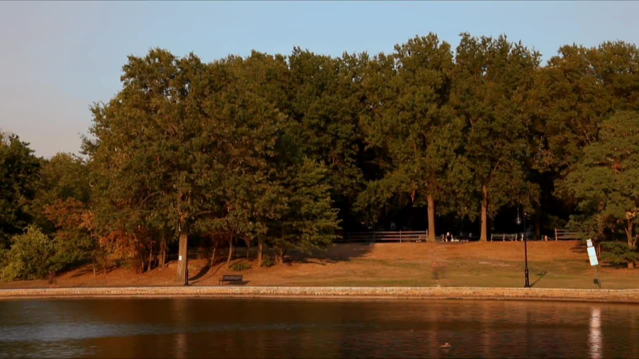 Download Free Video Stock timelapse of people walking in a park Live Wallpaper