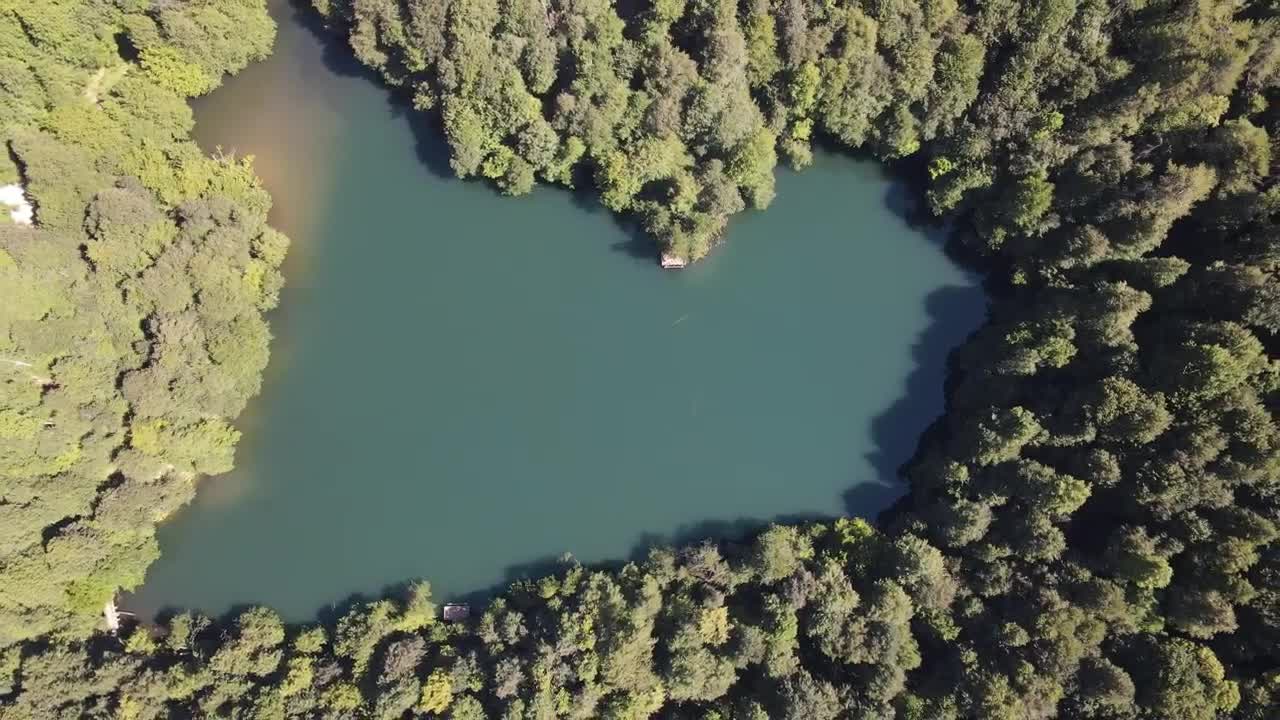 Download Free Video Stock top aerial shot of a lake among trees in a Live Wallpaper