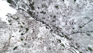 Free Video Stock top aerial shot over a frozen stream in a forest Live Wallpaper