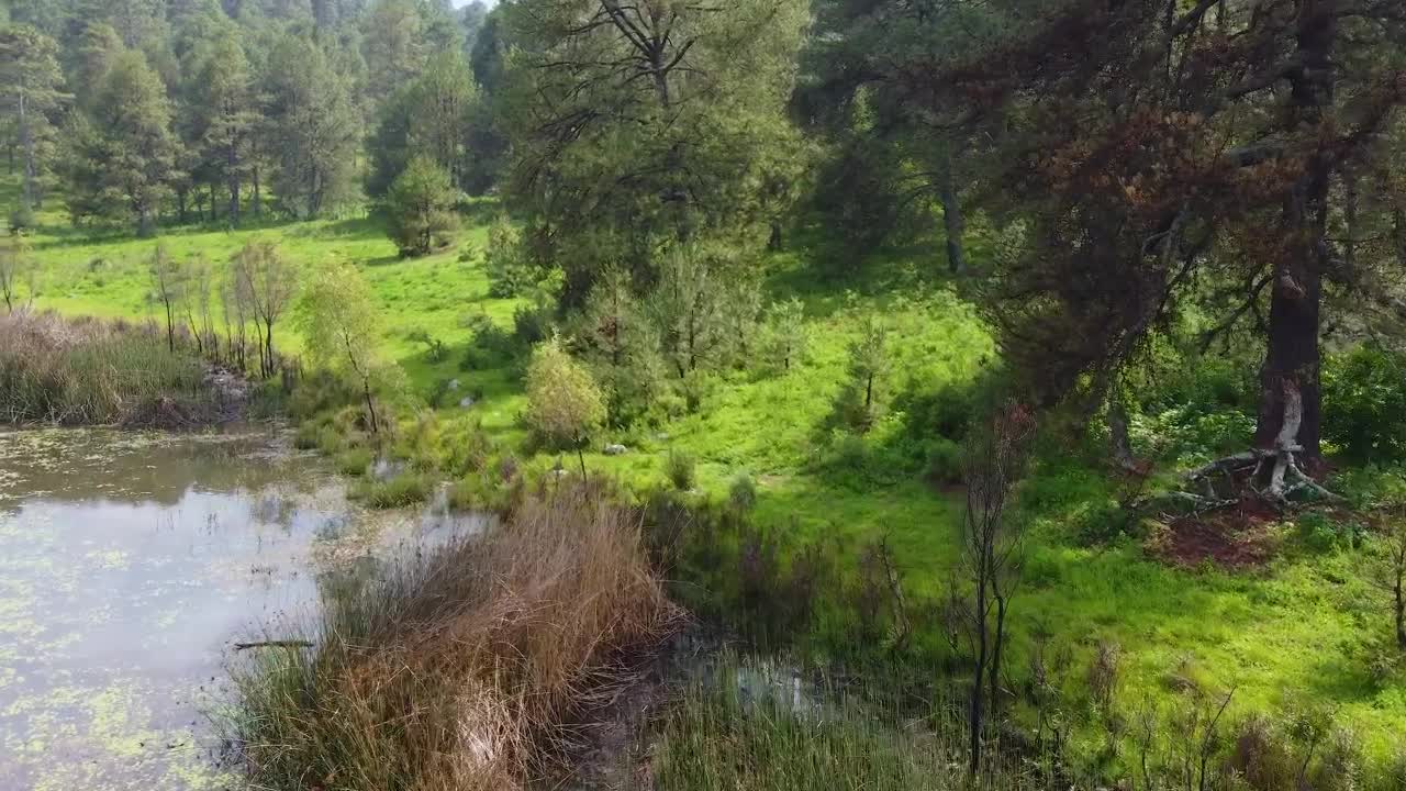 Download Free Video Stock touring a lake in nature from the top Live Wallpaper