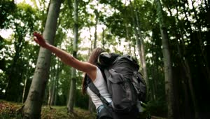 Free Video Stock tourist feeling the freedom in the forest Live Wallpaper