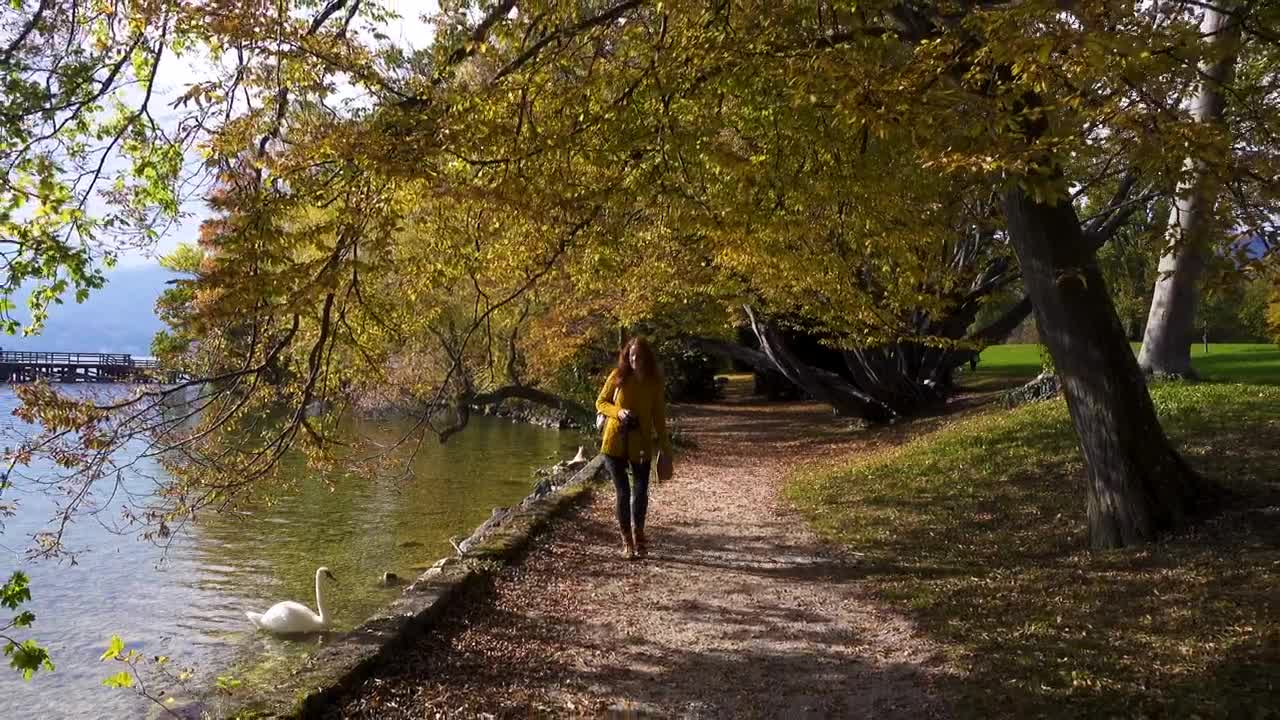 Download Free Video Stock tourist woman walking along the lake shore Live Wallpaper