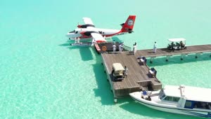 Free Video Stock tourists getting off a water plane on a pier Live Wallpaper