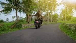 Free Video Stock tracking shot of a wanderlust couple riding a motorcycle Live Wallpaper