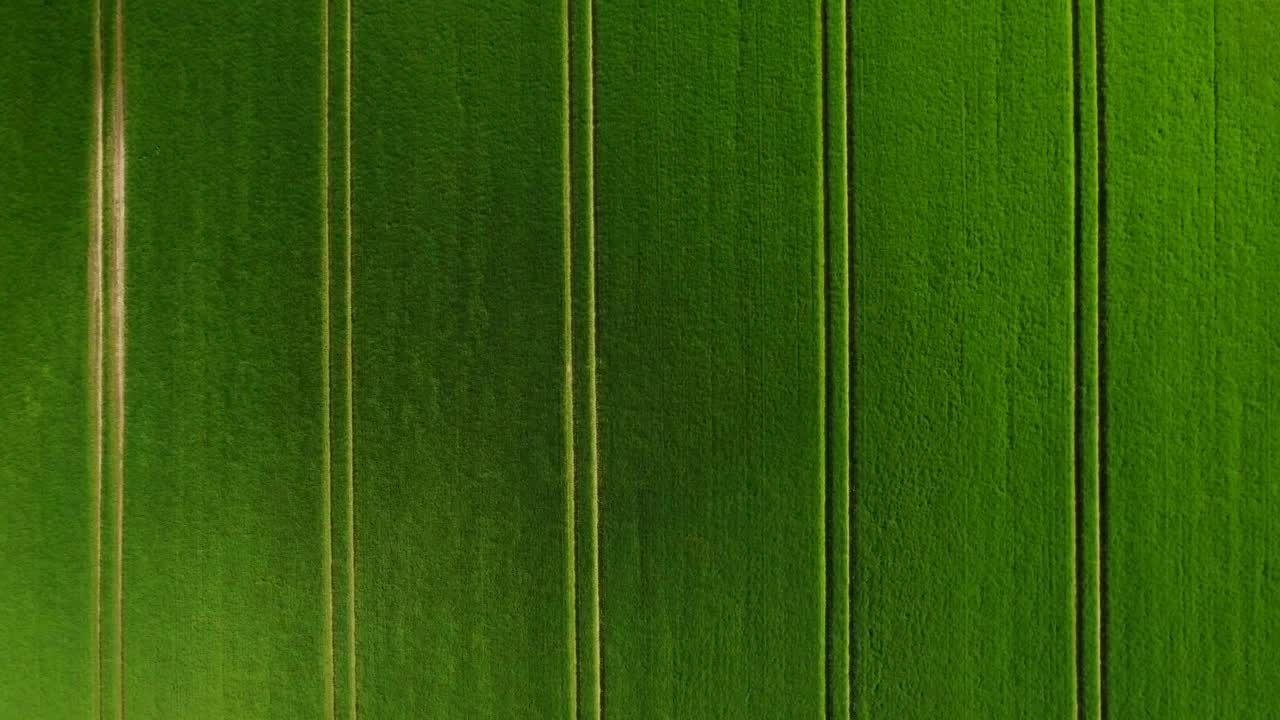 Download Free Video Stock tractor lanes in a green field Live Wallpaper