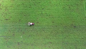 Free Video Stock tractor working on a green agricultural field Live Wallpaper