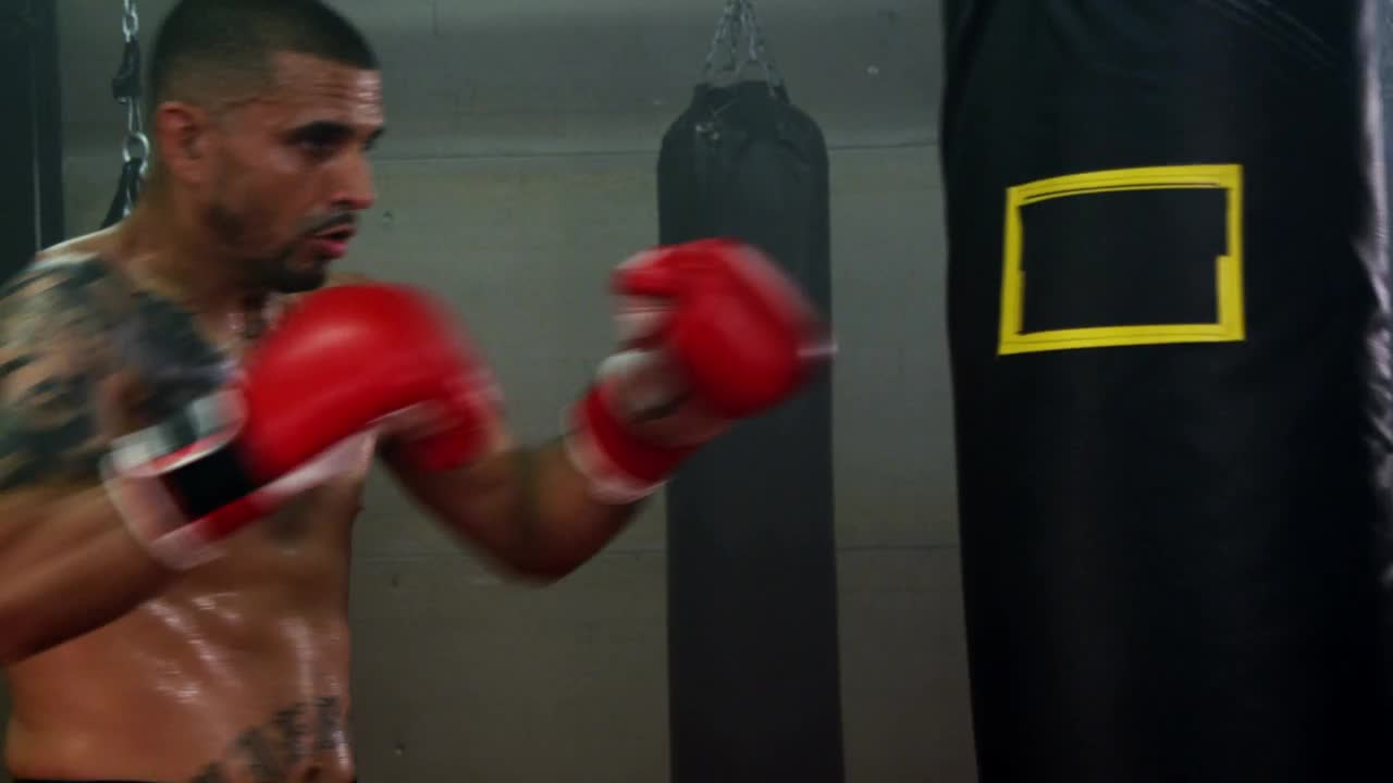 Download Free Video Stock training for a fight Live Wallpaper