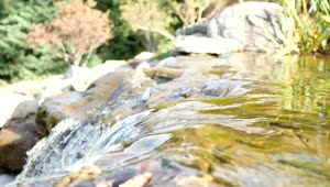 Free Stock Video Water Flowing Down The Rocks Of A River In Nature Live Wallpaper