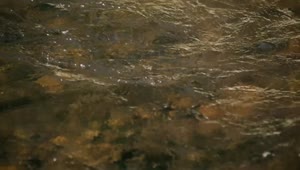Free Stock Video Water Flowing On A River Slow Motion Live Wallpaper