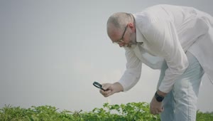 Free Stock Video Watching Potato Plants With A Magnifier Glass Live Wallpaper