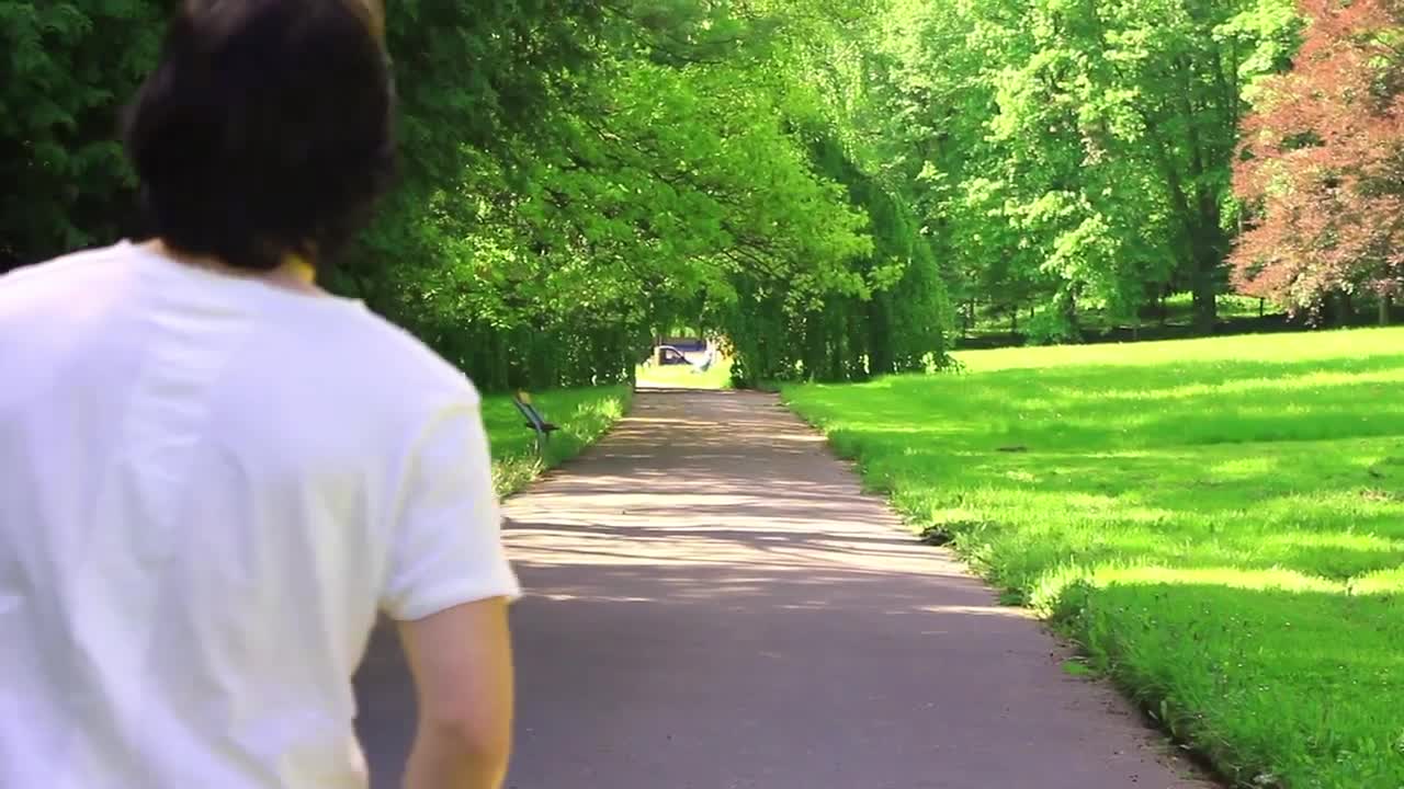 Download Free Stock Video Walking Through A Sunny Park In Nature Live Wallpaper