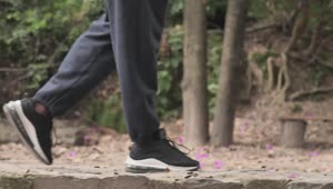 Free Stock Video Walking Of A Person On The Path Of A Forest Live Wallpaper