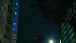 Free Stock Video Walking Between Buildings Looking Up At Night Live Wallpaper