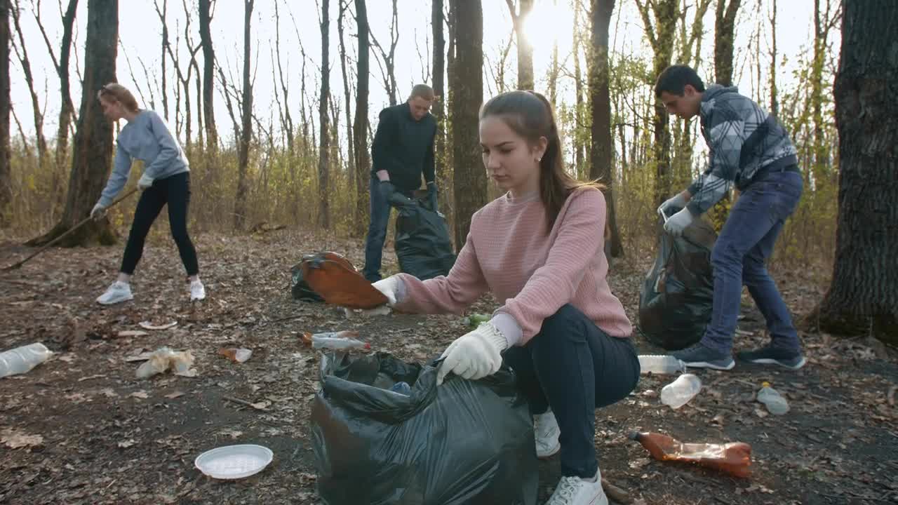 Download Free Stock Video Volunteers Collect Garbage From The Forest Live Wallpaper