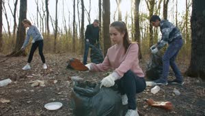 Free Stock Video Volunteers Collect Garbage From The Forest Live Wallpaper
