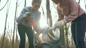 Free Stock Video Volunteers Cleaning Up Garbage In A Forest Live Wallpaper