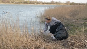 Free Stock Video Volunteer Picking Up Trash By The River Live Wallpaper