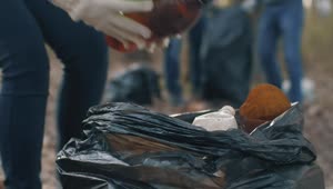 Free Stock Video Volunteer Collecting Garbage From The Forest Live Wallpaper