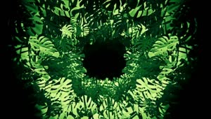 Free Stock Video Virtual Tunnel Between Green Tropical Plants Live Wallpaper