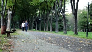 Free Stock Video Two Male Friends Walking Down A Quiet Park Live Wallpaper
