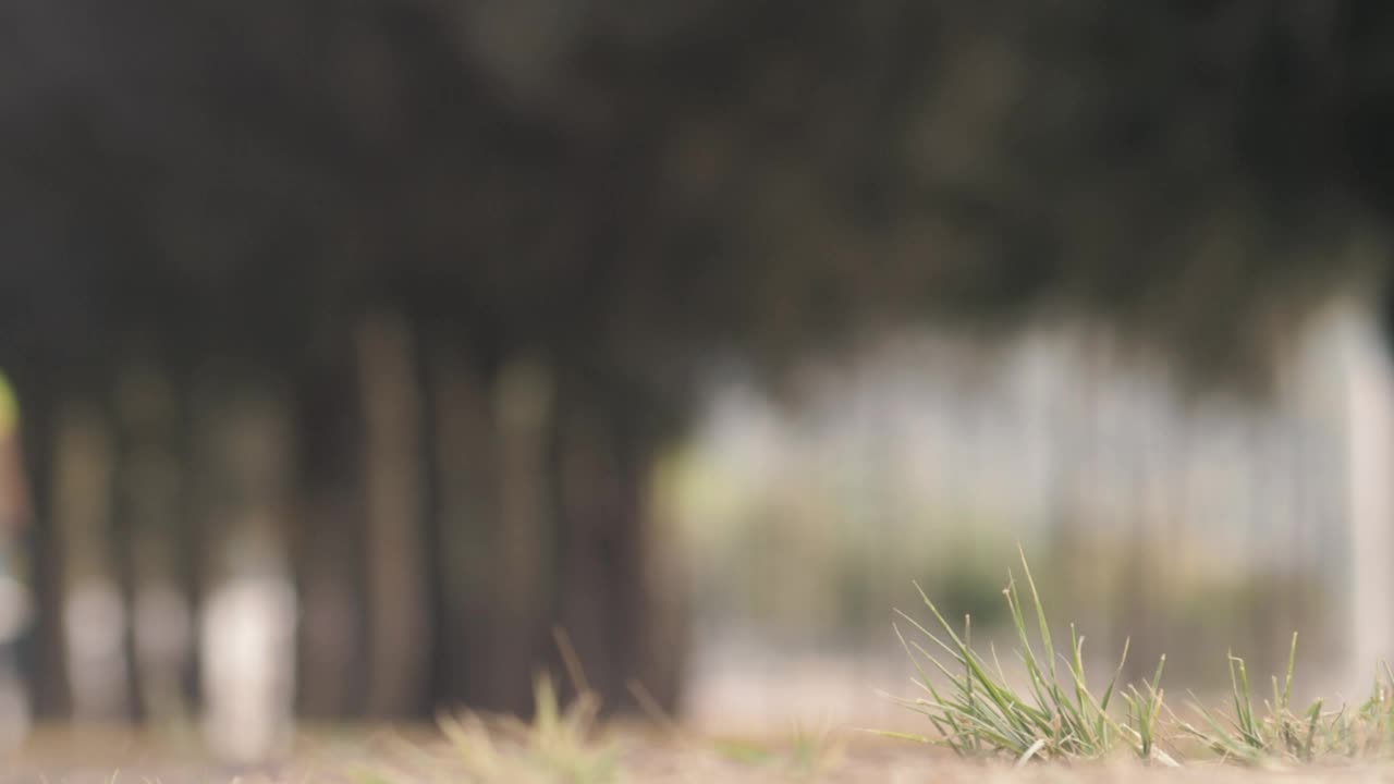 Download Free Stock Video Two Cyclists Biking Outdoors Live Wallpaper