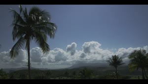 Free Stock Video Tropical Nature Landscape Live Wallpaper