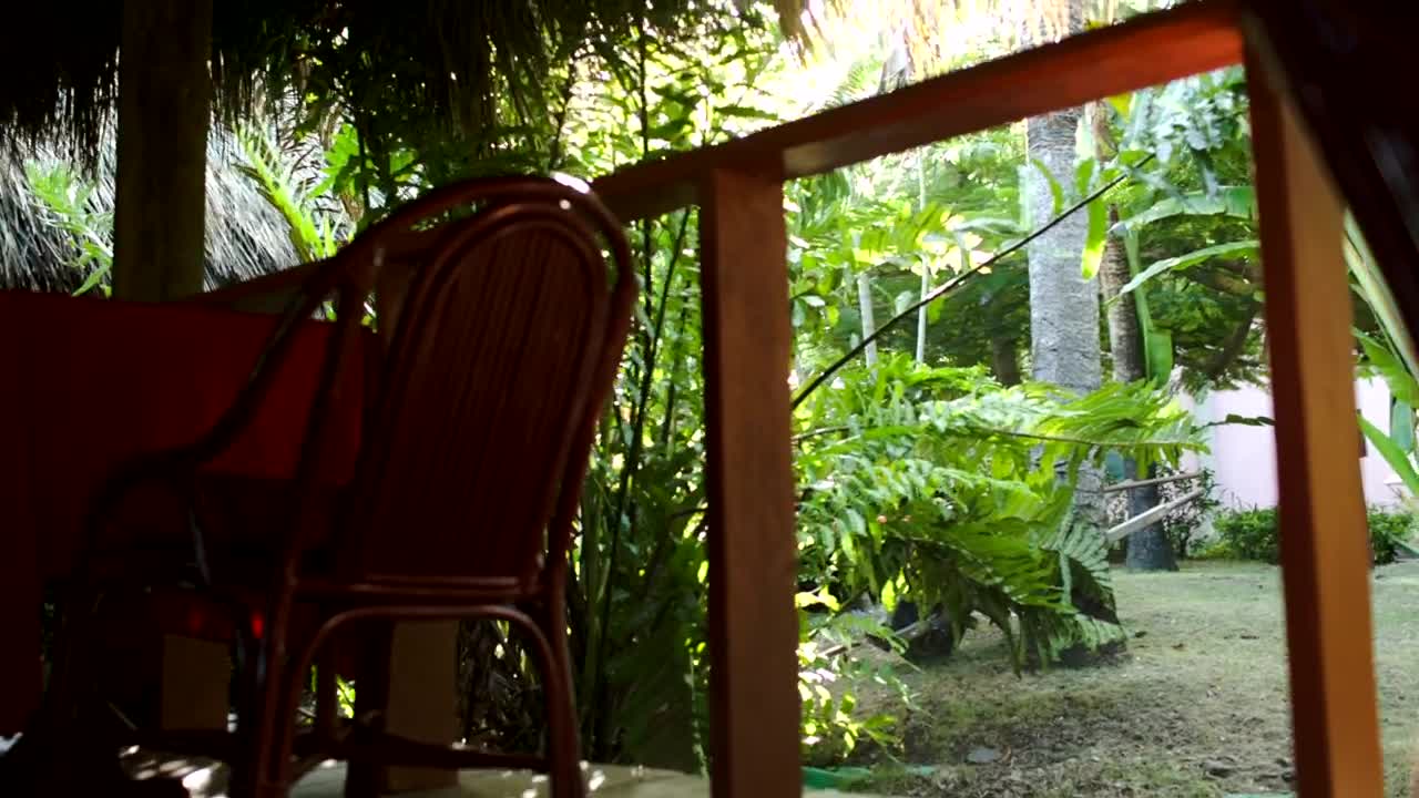 Download Free Stock Video Tropical Cafe On The Beach Live Wallpaper