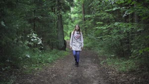 Free Stock Video Young Woman Wandering In The Forest Live Wallpaper