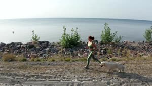 Free Stock Video Young Woman Running With Her Dog Near A Coast Live Wallpaper