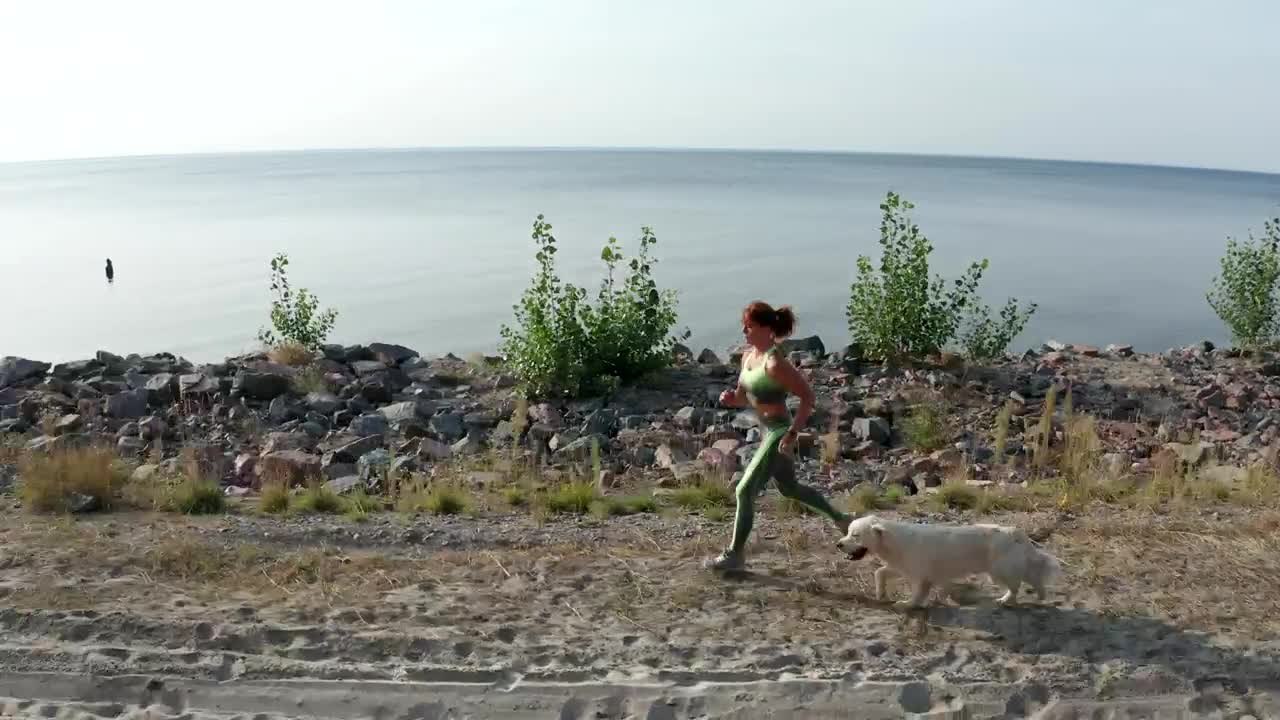 Download Free Stock Video Young Woman Running With Her Dog Near A Coast Live Wallpaper